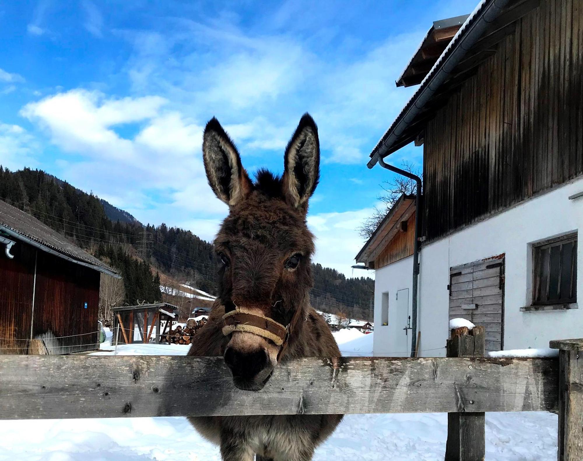 Hinkerhof Vendégház Schladming Kültér fotó